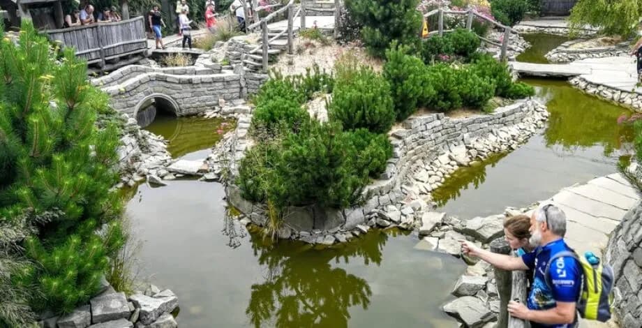 Gdzie z dzieckiem Śląsk? Odkryj najlepsze miejsca na rodzinne atrakcje