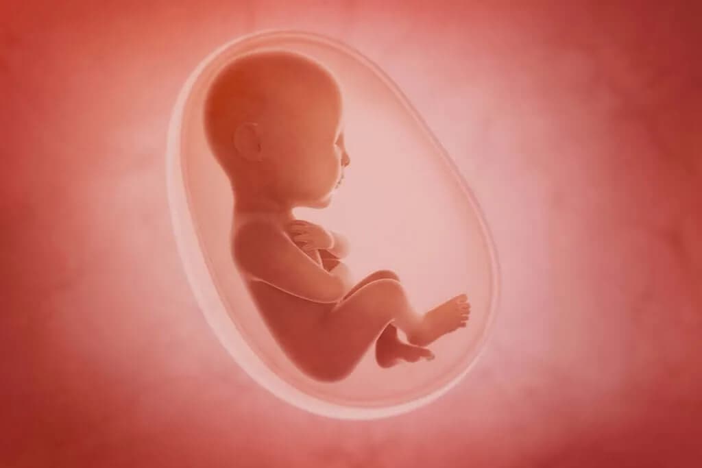 Który zmysł dziecka rozwija się jako pierwszy w łonie matki? Zaskakujące fakty